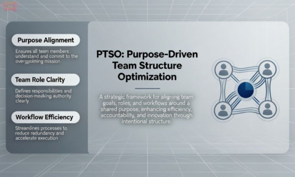 Definition and Core Meaning of PTSO in Text