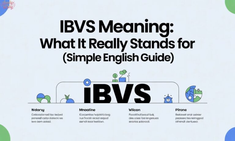 IBVS Meaning What It Really Stands For (Simple English Guide)