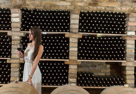 Modern Wine Storage Solutions for Preserving Quality and Long-Term Value